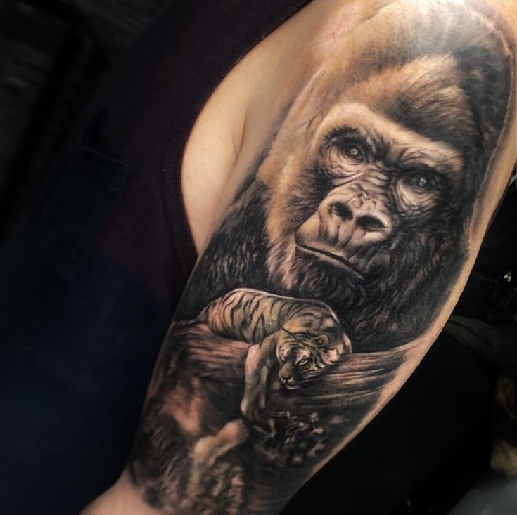 190 Magnificent Gorilla Tattoo Designs With Meanings 2024 Gorilla