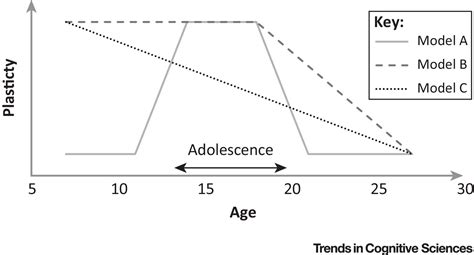 Adolescence As A Sensitive Period Of Brain Development Trends In Cognitive Sciences