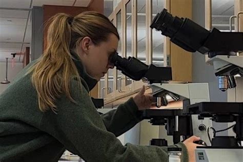 Bacteriology Masters In California: Programs, Admissions, And Careers