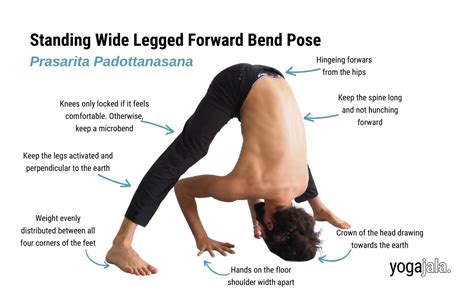 Bending Poses Wide Legged Bending Pose Posemy Art
