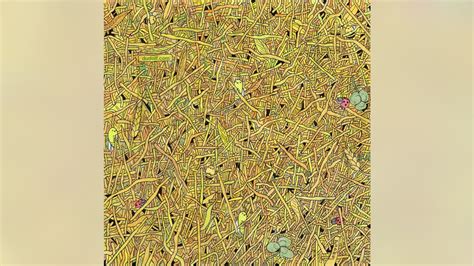 Brain Teaser Can You Find The Sewing Needle In A Haystack