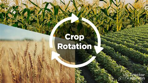Future Of Crop Rotation 1 Pro: Smart Farming Advances