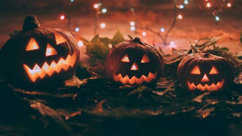 Download Spooky Season Three Pumpkins Wallpaper Wallpapers Com