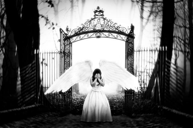 Ericalovelyy Onlyfans Leaked Exclusive Content Revealed Ericalovelyy Onlyfans Leaked Exclusive Content Revealed