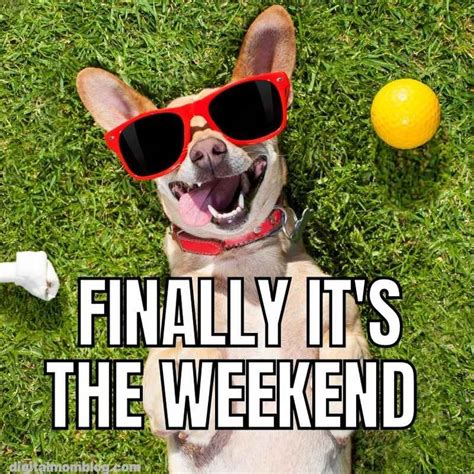 Excited To Finally Have A Sunny Weekend Excited To Finally Have A Sunny Weekend