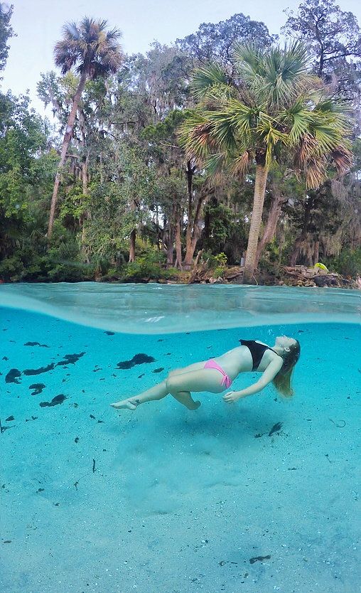 Exploring Silver Glen Springs Artofit Exploring Silver Glen Springs Artofit