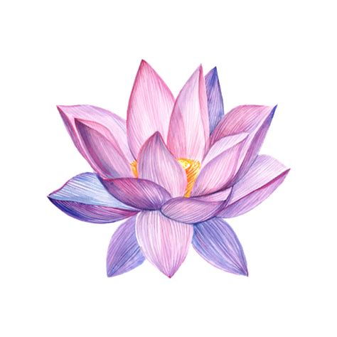 Floral Tattoo Designs Geometric Tattoo Designs Watercolor Tattoo Floral Tattoo Designs Geometric Tattoo Designs Watercolor Tattoo