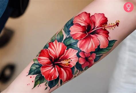 Hibiscus Flower Tattoo Design Projects Photos Videos Logos Illustrations And Branding Behance Hibiscus Flower Tattoo Design Projects Photos Videos Logos Illustrations And Branding Behance