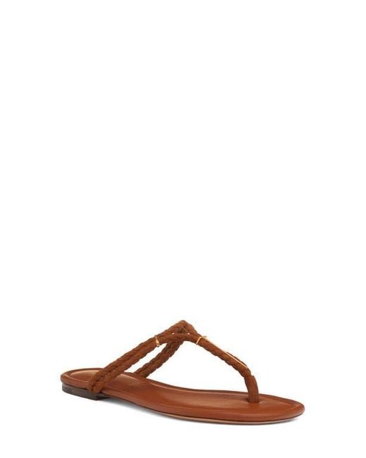 The Complete Guide to Lily Ford