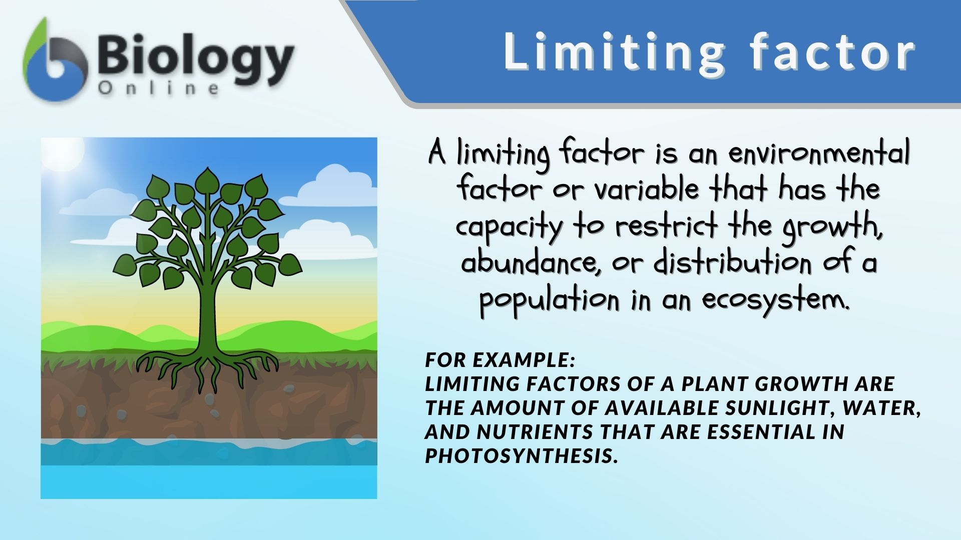Limiting Factors For Shrublands: Key Drivers And Impacts