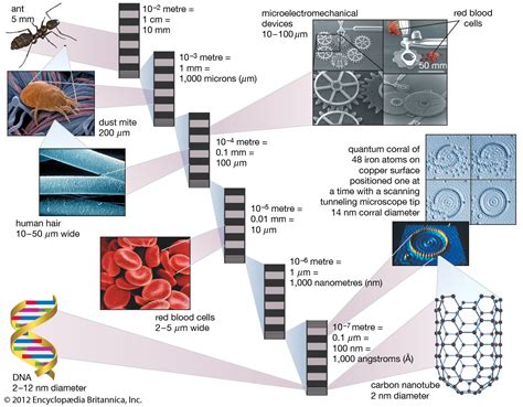 Micro Nanotechnology Molecular Engineering Bme Micro Nanotechnology Molecular Engineering Bme