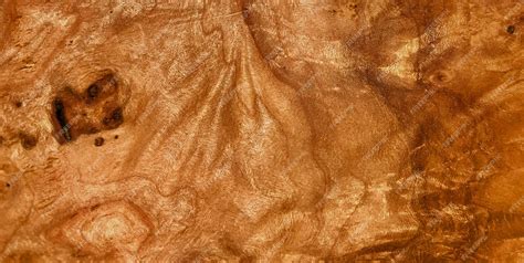 Premium Photo A Spellbinding Picture Unveiling The Alluring Patterns Of A Textured Wooden Surface Premium Photo A Spellbinding Picture Unveiling The Alluring Patterns Of A Textured Wooden Surface