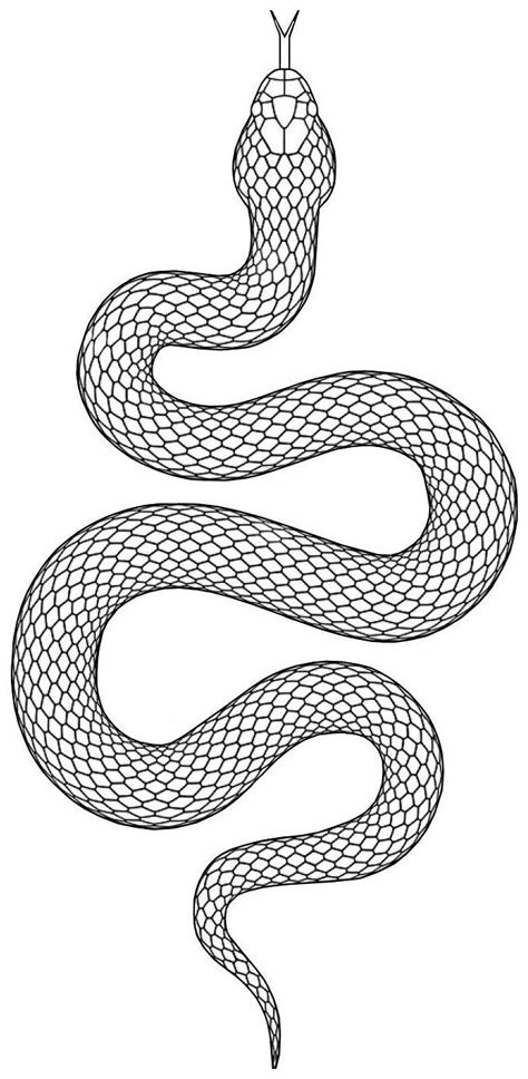 Snake Tattoo Template Printable And Enjoyable Learning Snake Tattoo Template Printable And Enjoyable Learning