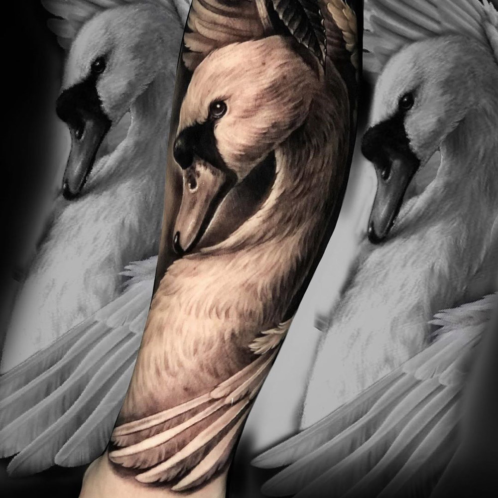 Swan Tattoo