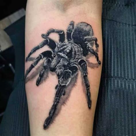 Tarantula And Scorpion Tattoo By Brandon Schultheis Tattoonow Tarantula And Scorpion Tattoo By Brandon Schultheis Tattoonow