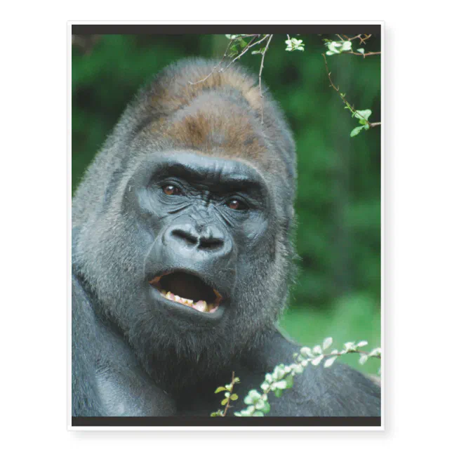 Temporary Gorilla Tattoos