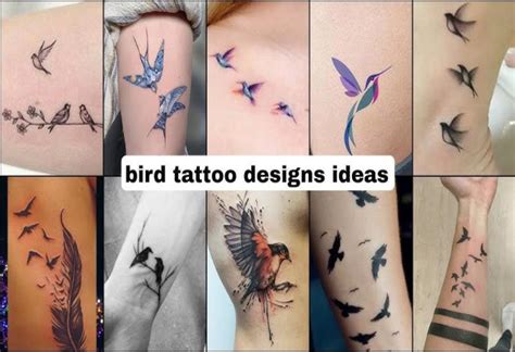 The Fascination With Bird Tattoos Symbolism Styles And Inspiration The Fascination With Bird Tattoos Symbolism Styles And Inspiration