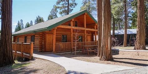 Thousand Pines Thousand Pines