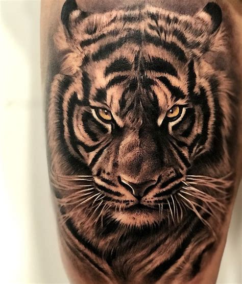 Tiger Face Tattoo Tiger Tattoo Design Tattoo Designs Tiger Design Tiger Face Tattoo Tiger Tattoo Design Tattoo Designs Tiger Design