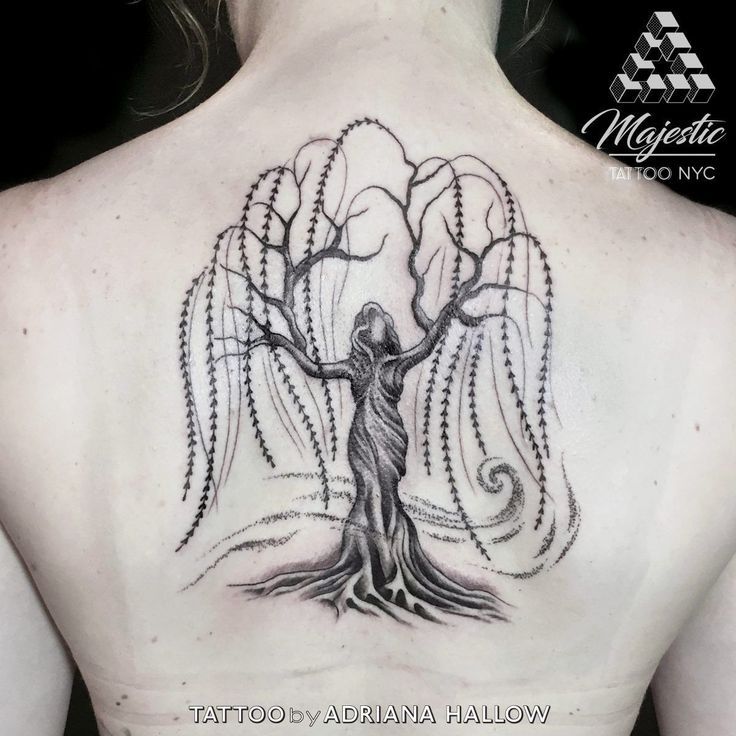 Tree Of Life Tattoo Back