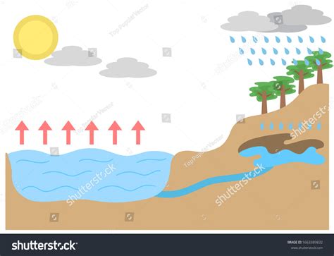 Water Infiltration Cycle Scheme Vector Illustration Stock Vector Royalty Free 1663389832 Shutterstock Water Infiltration Cycle Scheme Vector Illustration Stock Vector Royalty Free 1663389832 Shutterstock